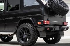 Eurowise-Off-Road-Caged-G-Wagen-18
