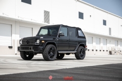 Eurowise-Off-Road-Caged-G-Wagen-5
